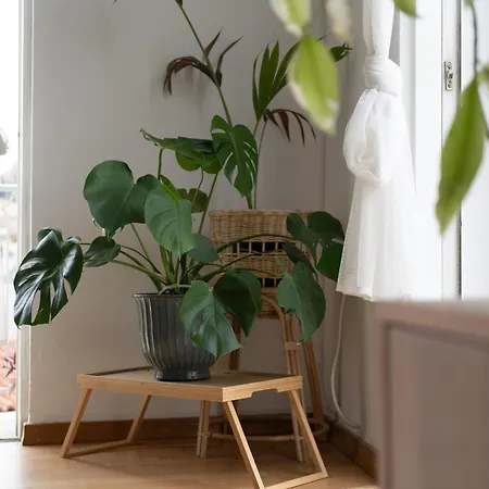 A Place 4u No13 Apartment